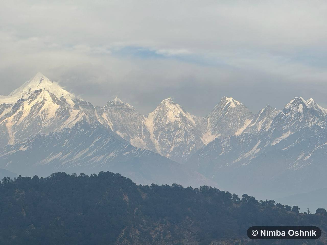 Snow-capped peaks rising above a dark forested ridge in soft haze