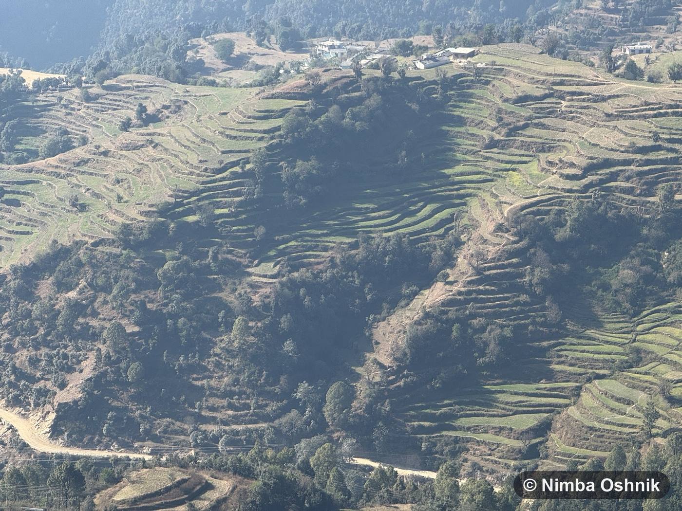 Terraced farmland climbing a Himalayan hillside